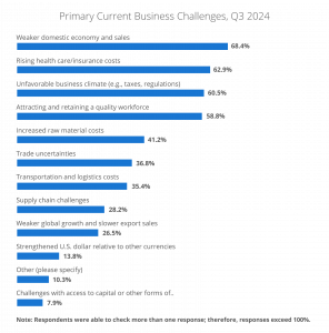 Primary business challenges q3 2024