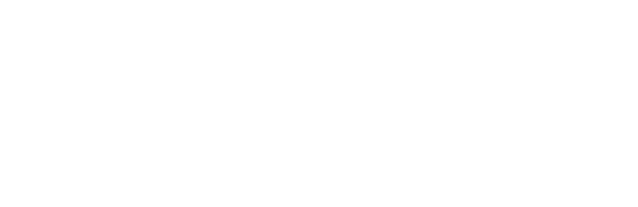 Vinted logo